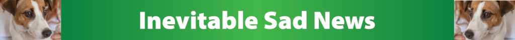 Inevitable Sad News Header